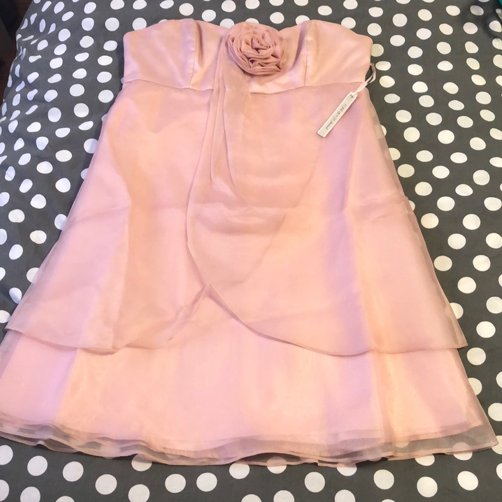 Tube top dress